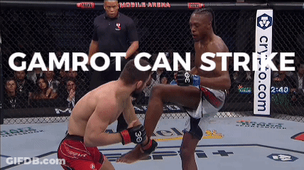 Two Men Are Fighting In A Cage With The Words Gamrot Can Strike Behind Them GIF