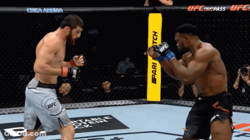 Two Men Are Fighting In A Cage With Ufc Fight Pass Written On The Side GIF