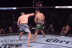 Two Men Are Fighting In A Ring With A Banner That Says Ufc GIF