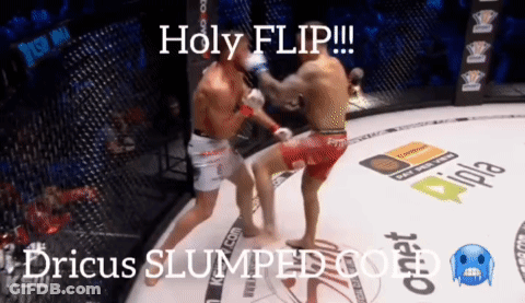 Two Men Are Fighting In A Ring With The Words Holy Flip Written On The Bottom GIF