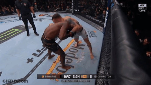 Two Men Are Fighting In A Ufc Match GIF
