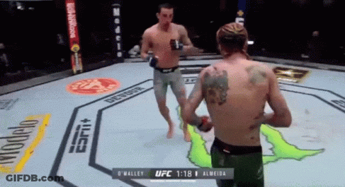 Two Men Are Fighting In A Ufc Ring And One Of Them Has A Tattoo On His Back .. GIF
