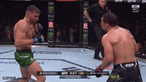 Two Men Are Fighting In A Ufc Ring And One Of Them Is Wearing A Venum Shorts GIF