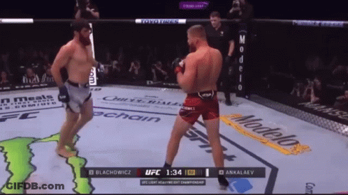 Two Men Are Fighting In A Ufc Ring And The Ufc Light Heavyweight Championship Is On The Screen GIF