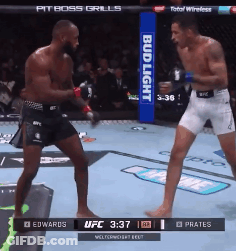 Two Men Are Fighting In A Ufc Ring With A Bud Light Banner In The Background GIF