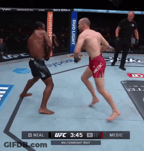 Two Men Are Fighting In A UFC Ring With A Bud Light Banner On The Side GIF