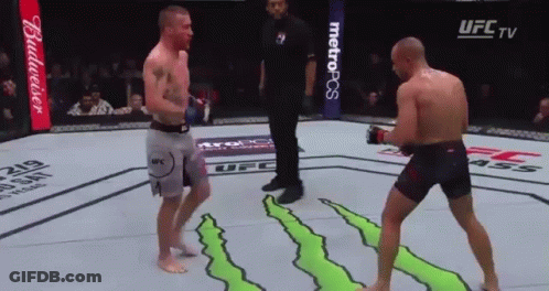 Two Men Are Fighting In A Ufc Ring With A Budweiser Advertisement In The Background GIF