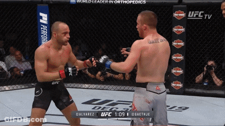 Two Men Are Fighting In A Ufc Ring With A Harley Davidson Sign In The Background GIF