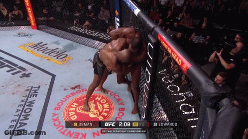 Two Men Are Fighting In A Ufc Ring With A Modelo Ad In The Background GIF