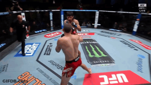 Two Men Are Fighting In A UFC Ring With Ads For Bud Light And Monster Energy GIF