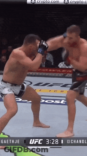 Two Men Are Fighting In A Ufc Ring GIF
