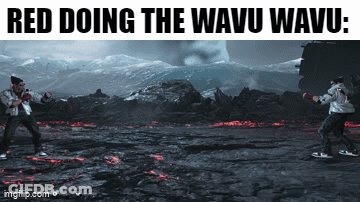 Two Men Are Fighting In A Video Game With The Words Red Doing The Wavu Wavu GIF