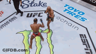 Two Men Are Fighting On A Ufc Ring Sponsored By Toyo Tires And Energy Drink GIF