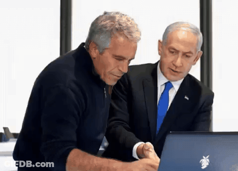 Two Men Are Looking At A Laptop With A Palm Tree Logo On It GIF