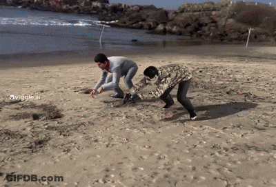 Two Men Are Playing In The Sand On A Beach With The Hashtag Viggle Ai GIF