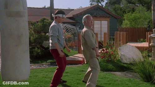 Two Men Are Practicing Martial Arts In A Garden GIF