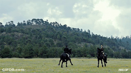 Two Men Are Riding Horses In A Field With A Rbo.gif Watermark GIF