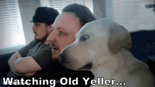 Two Men Are Sitting On A Couch With Their Arms Crossed And A Dog Looking At Them With The Caption Watching Old Yeller GIF