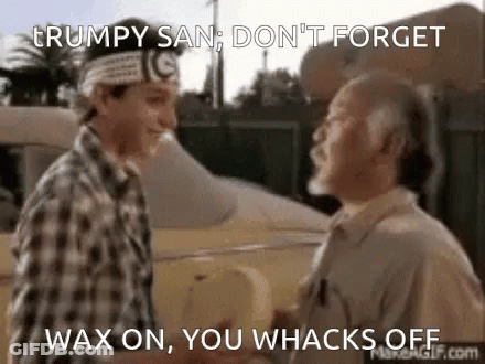 Two Men Are Standing Next To Each Other And One Of Them Says " Wax On You Whacks Off " GIF