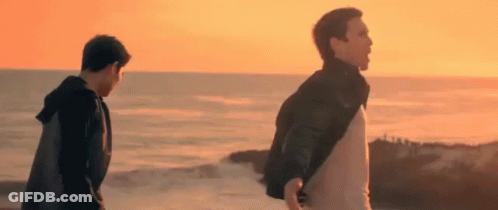 Two Men Are Walking On The Beach At Sunset With Their Backs To The Camera . GIF