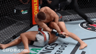 Two Men Are Wrestling In A Cage With A Referee Watching . GIF