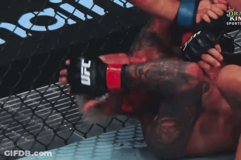 Two Men Are Wrestling In A Cage With A UFC Logo On The Wall Behind Them GIF