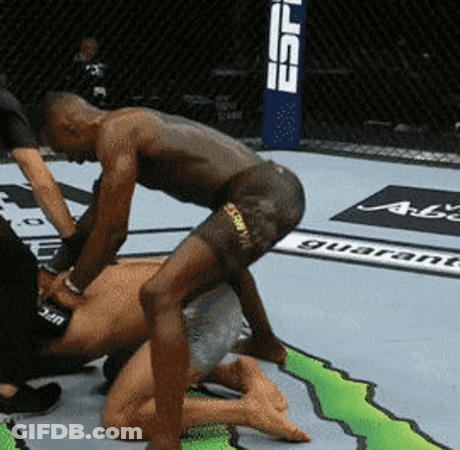 Two Men Are Wrestling In A Ring With A Sign That Says Ufc Guarant GIF