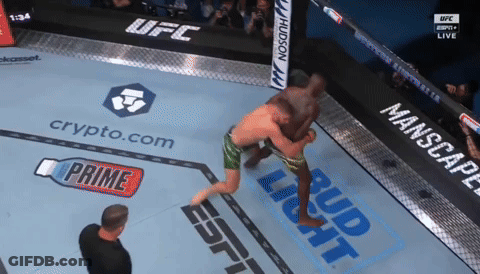 Two Men Are Wrestling In A Ufc Ring With Ads For Bud Light And Crypto.com GIF