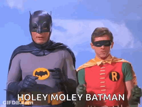 Two Men As Batman And Robin Saying Holey Moley Batman GIF