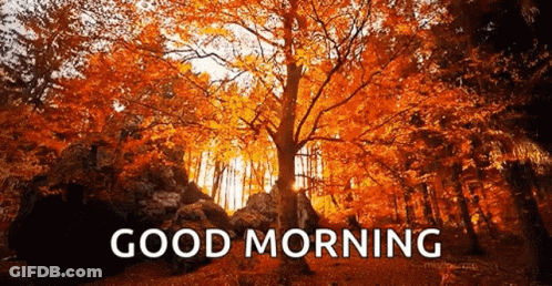Two Men Asking But What About Second Breakfast GIF
