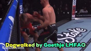 Two Men Boxing Dogwalked By Gaethje Lmfao GIF