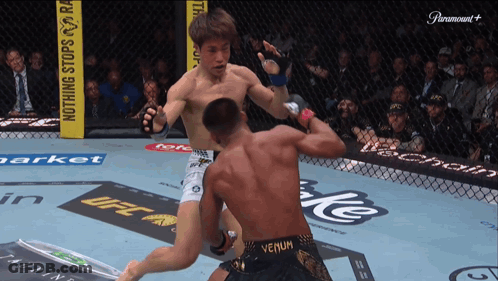 Two Men Boxing Fighting With Venum Shorts GIF