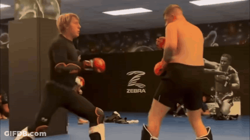 Two Men Boxing In Gym With Zebra Logo GIF