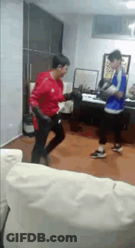 Two Men Boxing In Living Room GIF