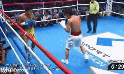 Two Men Boxing In Ring GIF