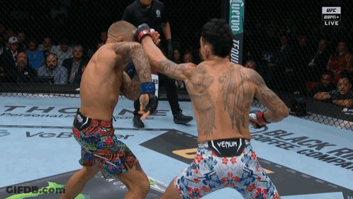 Two Men Boxing One With Venum Shorts GIF