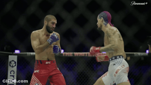 Two Men Boxing UFC Sign GIF
