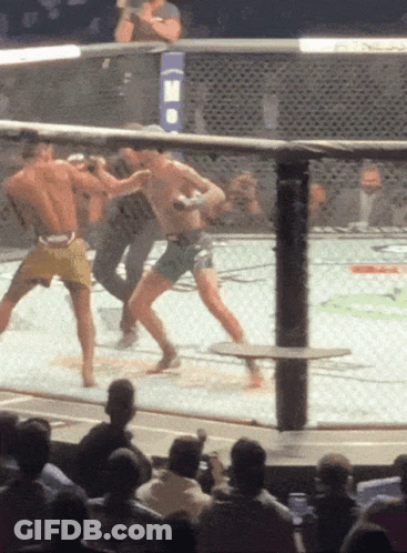 Two Men Boxing With Blue I-M-O Banner GIF