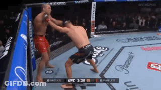 Two Men Boxing With Bud Light Banner GIF