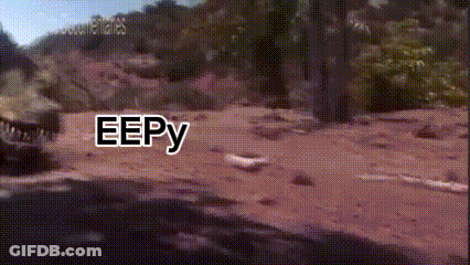 Two Men Boxing With Monster Energy Ad GIF