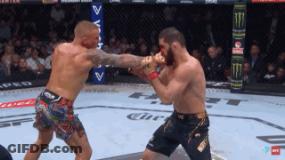 Two Men Boxing With UFC Shorts GIF