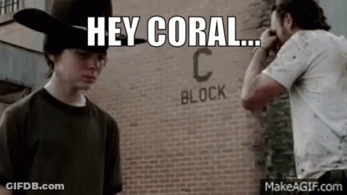 Two Men By Brick Wall With Hey Coral GIF