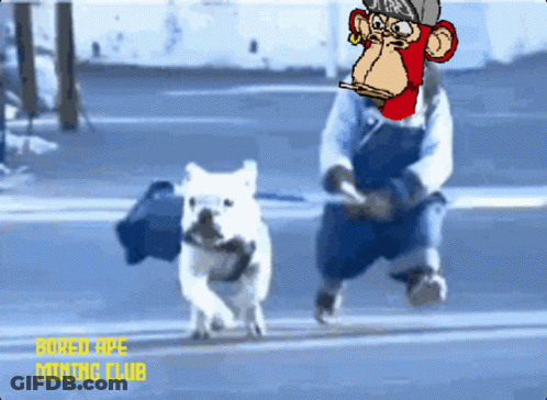 Two Men By Police Car Saying Wrestling's Not Fake GIF