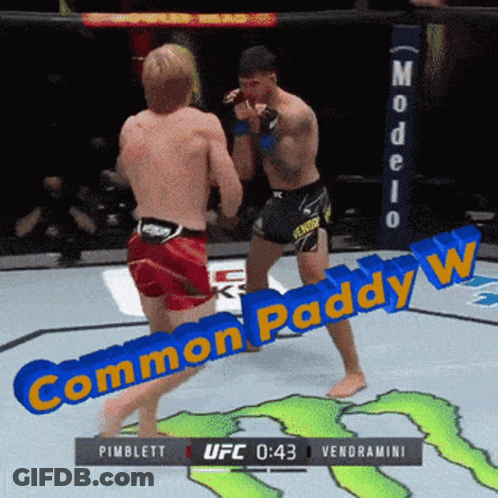 Two Men Fighting Boxing Ring Common Paddy GIF