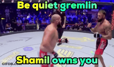Two Men Fighting In A Ring Be Quiet Gremlin Shamil Owns You GIF