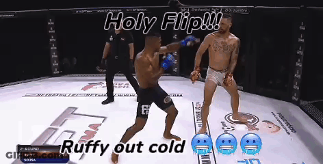 Two Men Fighting In A Ring Holy Flip Ruffy Out Cold GIF