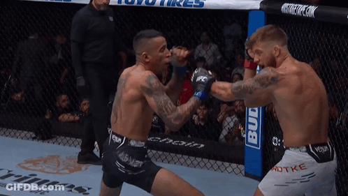 Two Men Fighting In Boxing Ring GIF