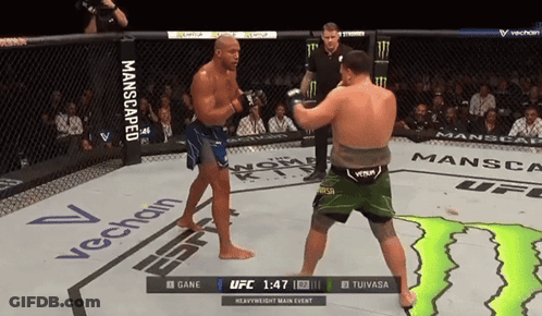 Two Men Fighting In Boxing Ring GIF