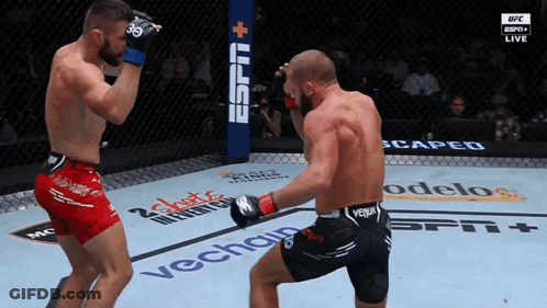 Two Men Fighting In Boxing Ring GIF