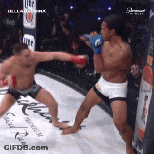 Two Men Fighting In Boxing Ring GIF